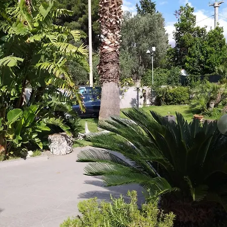 Elena Villa *
